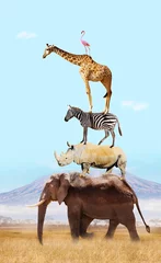 Papier peint adhésif Kilimandjaro Many Africans animal on top of each other over Kilimanjaro