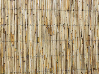 A fence made of dry reeds or straw for the whole background
