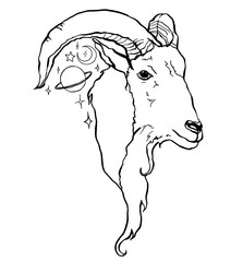 Vector capricorn zodiac sign. Hand painted astrology card isolated on white background. Minimal line art illustration for design, print, fabric or background.