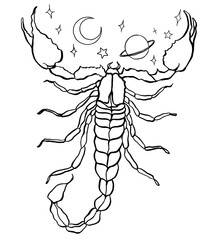 Vector scorpio zodiac sign. Hand painted astrology card isolated on white background. Minimal line art illustration for design, print, fabric or background.