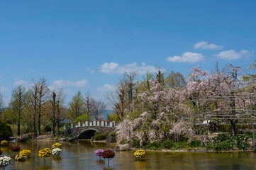 Obraz premium 草津市水生植物公園