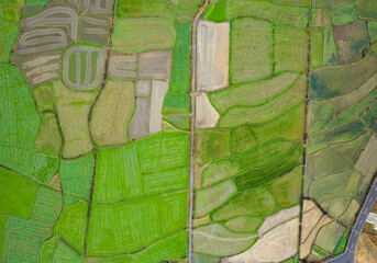 Aerial scenery of rural fields in southern