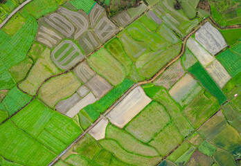 Fototapeta premium Aerial scenery of rural fields in southern