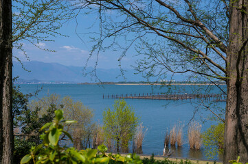 草津市水生植物公園から見るびわ湖対岸