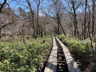 上高地 風景 長野県