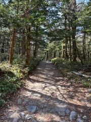 上高地 遊歩道 長野県