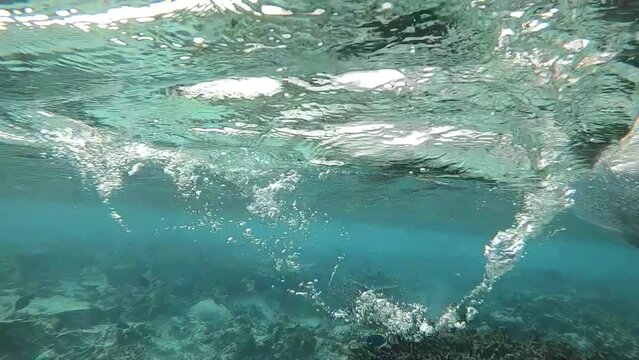 Unterwasseraufnahme von einem Paddeln von einem Kanu im Korallenriff	