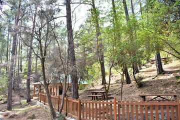 Fototapeta na wymiar picnic area in the mountain forest