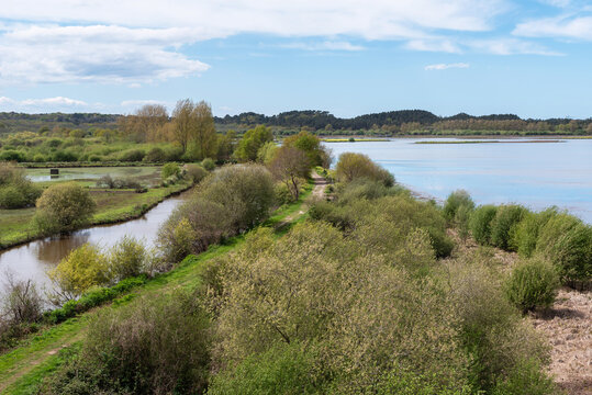 Marais d'Orx National Nature Reserve. Labenne