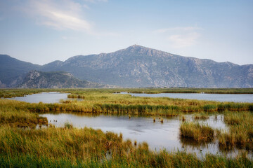 Dalyan canal view with grass and Sulungur lake against mountains, Mugla, Turkey. - 499997848