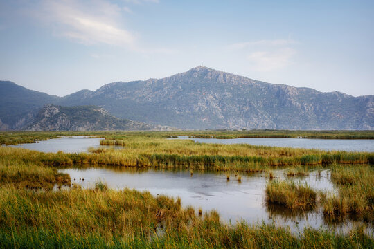 Dalyan canal view with grass and Sulungur lake against mountains, Mugla, Turkey.