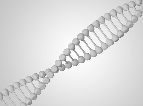 Human DNA helix on white background.  3D Rendering Image.