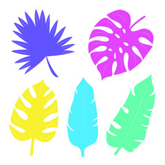 Fototapeta na wymiar Isolated multicolored exotic leaves. Bright flat illustration.