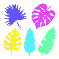 Isolated multicolored exotic leaves. Bright flat illustration.