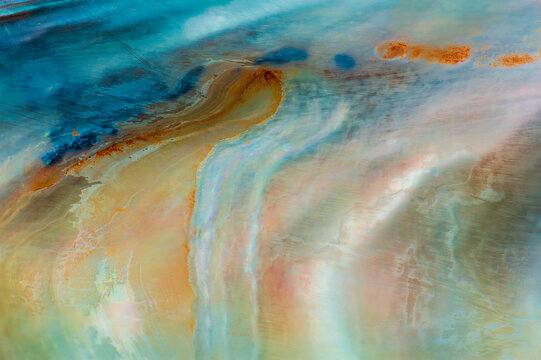 Colored inside pearl shell texture of blue mussel, Mytilus edulis. Animal, nature, marble background