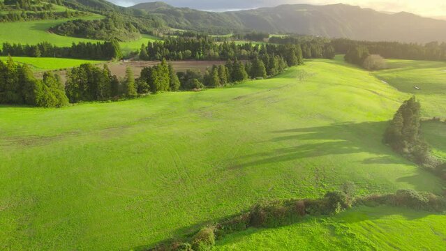 idyllic green meadow, lush rolling fields on hills in the countryside, aerial view of morning green hills in the Azores on a sunny summer day