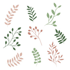 Collection of isolated plants, tree twigs. Flat illustration.