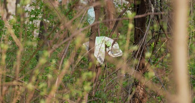 garbage thrown into the woods by man polluting nature