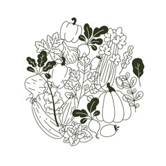 Various vegetables round composition. Linear graphic. Scandinavian minimalist style. Organic food design. Vector illustration