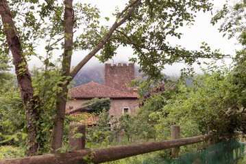 Fototapeta na wymiar Ancient medieval manor house in a village in the Cantabrian Mountains