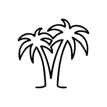 Thin line palm tree icon isolated on white background - Vector