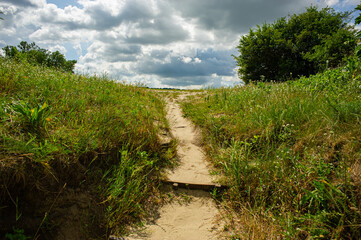 Fototapeta na wymiar Walking path in the meadow.