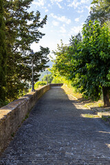 View of the little town of Serra san Quirico