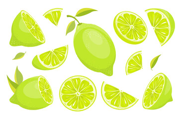 A set of ripe, juicy green limes. Whole lime, cut in half, slices and pieces of ripe fruit.Citrus fruits with leaves.Vector illustration.