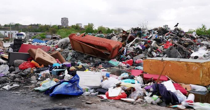 ecological damage done to nature by man