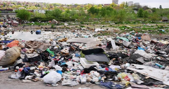 an environmental disaster from garbage dumped by the roadside