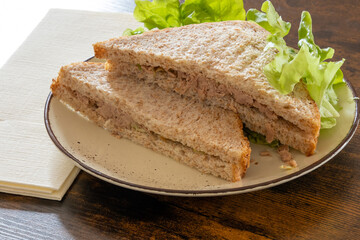 tuna sandwich with salad on a plate