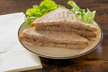 tuna sandwich with salad on a plate