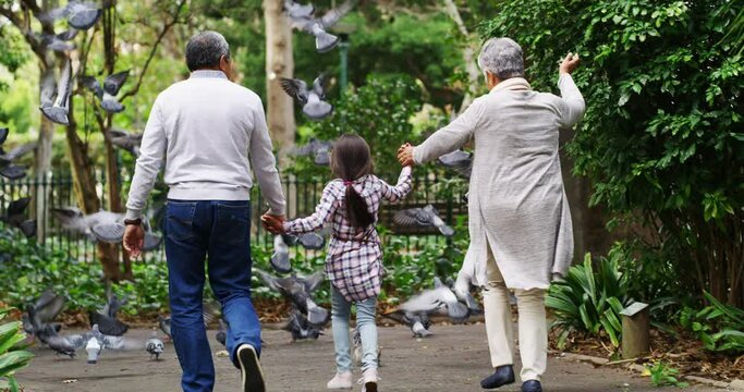 She makes them both feel young again. Adorable cute little girl chasing birds with her grandfather and grandmother outside in a park over the weekend. Carefree child having fun with her grandparents
