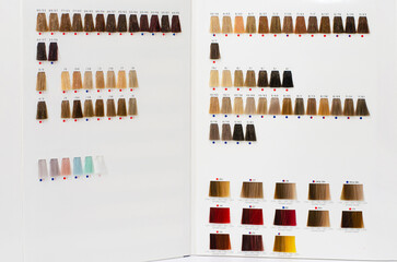 Hair sample palette set. Tints for different shades. Hair colorist