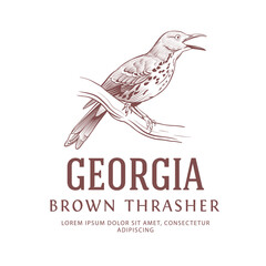 Fototapeta na wymiar Vintage Logo with Bird. Brown Thrasher State Bird Symbol of Georgia