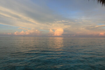 Nature is the material world of the universe, in fact — the main object of the study of natural...