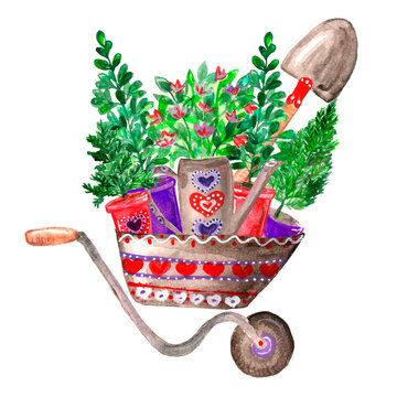 Watercolor illustration decorative garden wheelbarrow with seedlings, flowers and tools, shovel, watering can, gardening