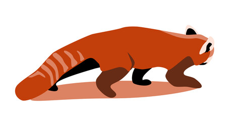 Red panda sneaking side view, bear cat flat vector illustration