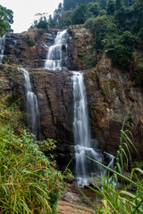 Fototapeta premium waterfall in nuwara elia sri-lanka