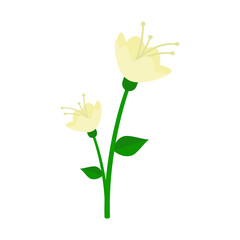 Flower. Icon. Nature. Plants. White background. Vector illustration. EPS 10.