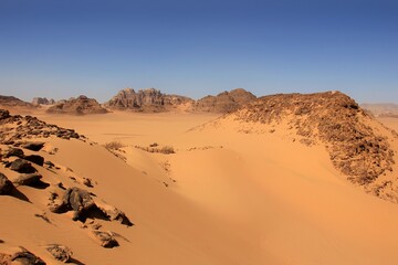 Nature is the material world of the universe, in fact &mdash; the main object of the study of natural sciences. In everyday life, the word "nature" is often used in the meaning of natural habitat.