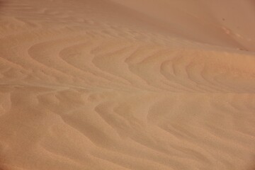 Nature is the material world of the universe, in fact — the main object of the study of natural sciences. In everyday life, the word 