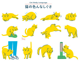 猫の色んなしぐさイラストセット © ちよちよ