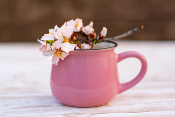 a pink cup and a beautiful flowering twig of an almond tree on the table