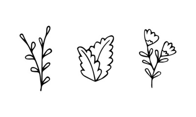 Set hand drawing plants wild flowers doodle black vector illustration