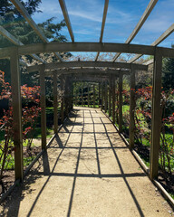 A wooden trellis tunnel provides a shaded walkway in the park.