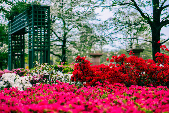 洋風庭園 の画像 1 9 件の Stock 写真 ベクターおよびビデオ Adobe Stock