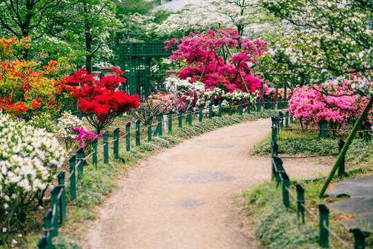 洋風庭園 の画像 1 9 件の Stock 写真 ベクターおよびビデオ Adobe Stock