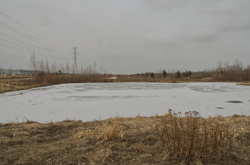 Pylypow Wetlands on a Cloudy Spring Day