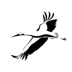Stork in flight. Stork bird flying in the sky black silhouette isolated on white background. Vector illustration